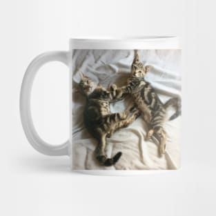 Cute Kittens Mug